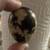Complete Turnkey Coturnix Quail Setup - 30+ Mature Birds & 3-Tier Cage 14 thumbnail