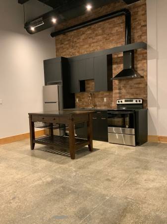 $3,999 / 1br - LOFT industrial chic REAL en edificio de lujo*espacio al aire libre*todas las comodidades (Greenwood Heights)63788738199553121
