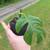 Plants! 13 thumbnail