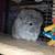 RPA Chinchilla 4 thumbnail