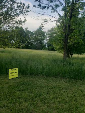 $52,900 Residential Lot For Sale By Owner in Fremont, IN (Fremont IN)63953483717763121