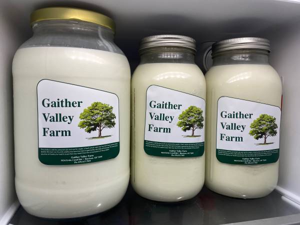 Fresh Goat Milk 1
