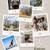 Find Your Next Home: Eaton Village 1 thumbnail