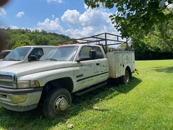 0803107601124 - $10,000 (Winchester)63624960147587122