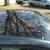 Scion tc (2004) 4 thumbnail
