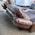 NEW !!  3-Seat Motorized Reclining Sofa 6 thumbnail
