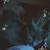 Free cat 2 thumbnail