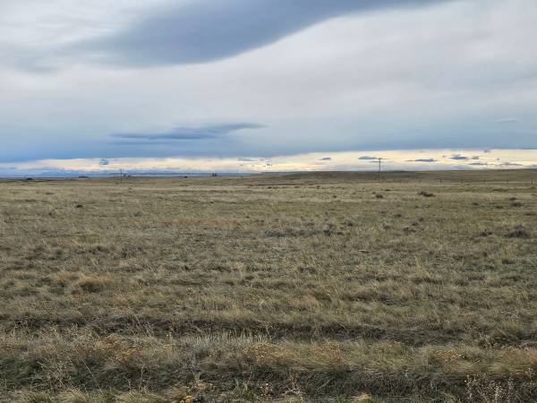 $65,000 / 1742400ft2 - 40 Acres limitando con terreno público (Kevin)64010664085506121