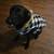Rehoming black lab 1 thumbnail