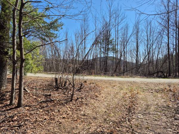 $139,000 17.5 Beautiful Acres (Morganton)64029205807362120