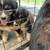 Australian Shepherd 2 thumbnail