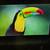 65 inch Toshiba Television 1 thumbnail