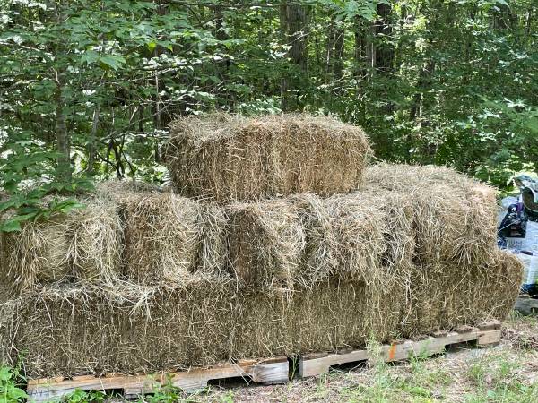 Mulch Hay 1