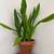 Deeply Discounted High End Home Goods 3 thumbnail