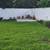 Beautifully remodeled house with huge yard available 10/15!! 2 thumbnail