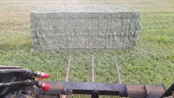 3x3x8 Grass Hay 1