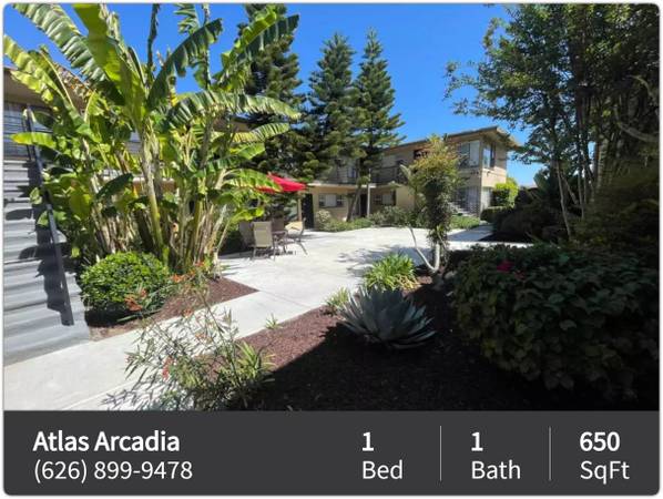 $2,130 / 1 hab. - 650 pies² - Fabulosos 650 pies² de 1 dormitorio / 1 baño, excelente ubicación cerca del transporte público (Arcadia)63952933022211120