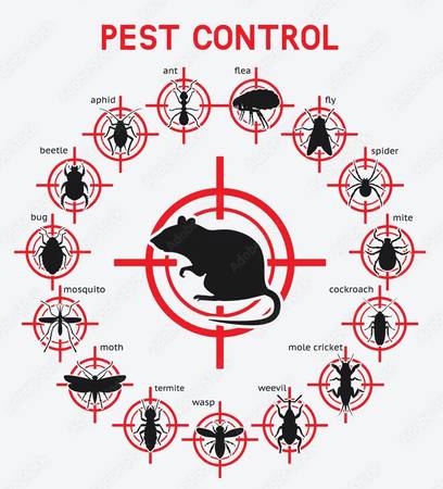 Pest control (Coachella)63658067311747121