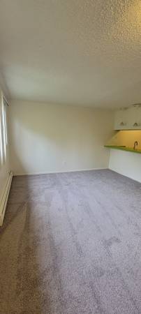 $1,150 / 420ft2 - Love your new apartment home! Beautiful Studio floorplans. (Anchorage - Near Ted Stevens Airport)64004784291329122