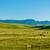 Picturesque Cascade Basin Ranch 9 thumbnail