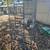 Aviary Cage with multi-level door access 2 thumbnail
