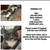 MISSING KITTY 1 thumbnail
