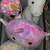 Unicorn stuff. 2 thumbnail