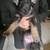 German Shepard puppies 1 thumbnail
