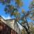 GM TREE SERVICE 18 thumbnail