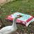 Chinese Gander (male) for sale 1 thumbnail