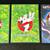👻📀 Ghostbusters DVD Movies 1, 2 and 3: Collector’s Edition Set (new) 1 thumbnail