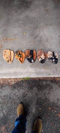 Five Right-handed baseball gloves and good condition 1