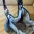 New Tilly's Owl Grey Hobo Bag/Purse 6 thumbnail