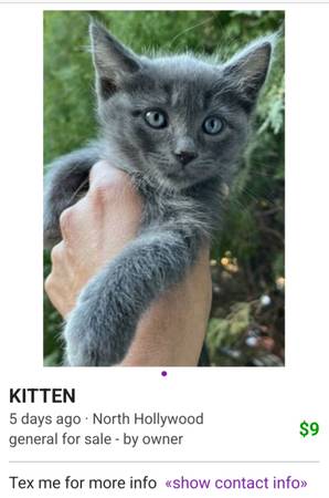 Don't reply - not in Massachusetts 1