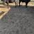 2 calves angus cross jerseys steers 7 months old around 350-400lbs 1 thumbnail