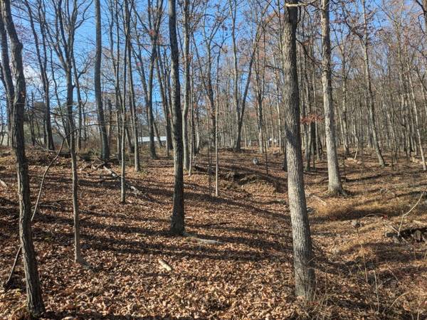 $16,000 0.6 AC of Trees UNRESTRICTED (Largent)63953076024450121