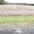 26 Acres of Farmland for Rent - $1950 11 thumbnail