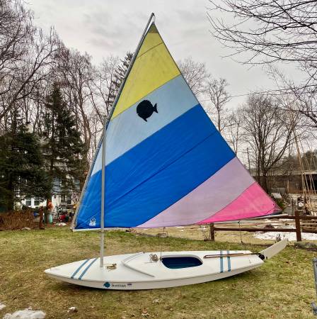 2004 14ft Vanguard Sunfish Sailboat w/ fiberglass blades 1