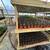Warrenton Plants Nursery Nurseries 17 thumbnail