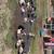 Various Flock/Livestock 2 thumbnail