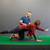 Personal Trainer 9 thumbnail