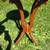 Round end table 2 thumbnail