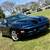 2002 Pontiac Firebird Trans Am WS6-6 Speed-1 Owner- ONLY 8k Miles !! 4 thumbnail