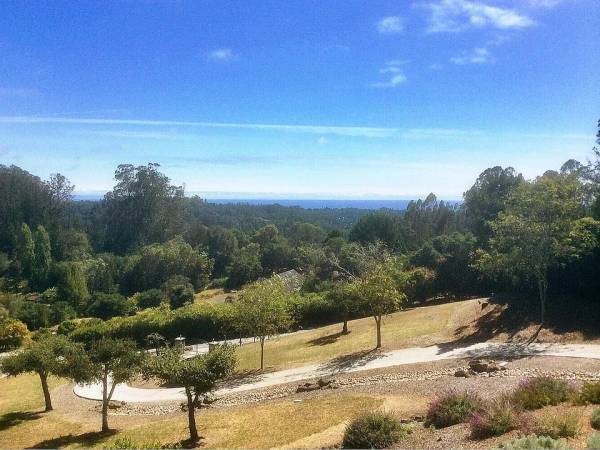 $250 / 3br - 3367ft2 - Aptos apartment for rent (Pleasant Valley Rd, Aptos, CA 95003)63657541958529121