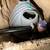 Plumber All Leaks Plumbing 760-200-6156 6 thumbnail