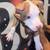 Puppy general 2 thumbnail