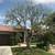 SALAS TREE SERVICE, FREE Estimates 5 thumbnail