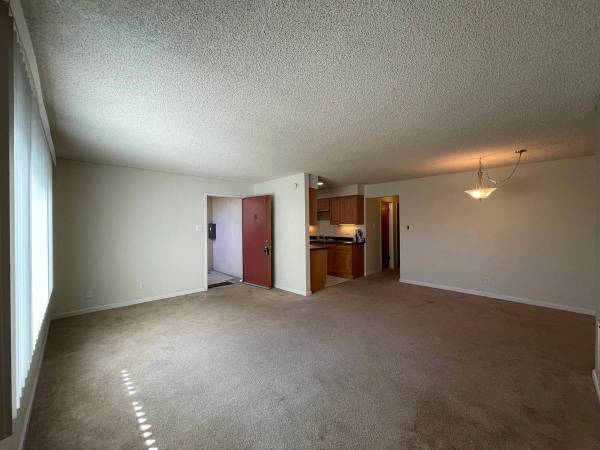 $1,000 / 2br - 850ft2 - 1 baño Apartamento en Albany disponible ahora (albany / el cerrito)63834316490883120