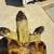 Russian tortoise 2 thumbnail