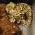 Ball Pythons needing rehomed ASAP! 4 thumbnail